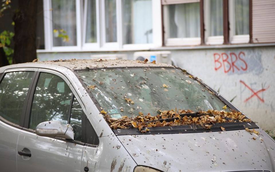 How Cabin Air Filters Protect Interior Air Quality and HVAC Systems
